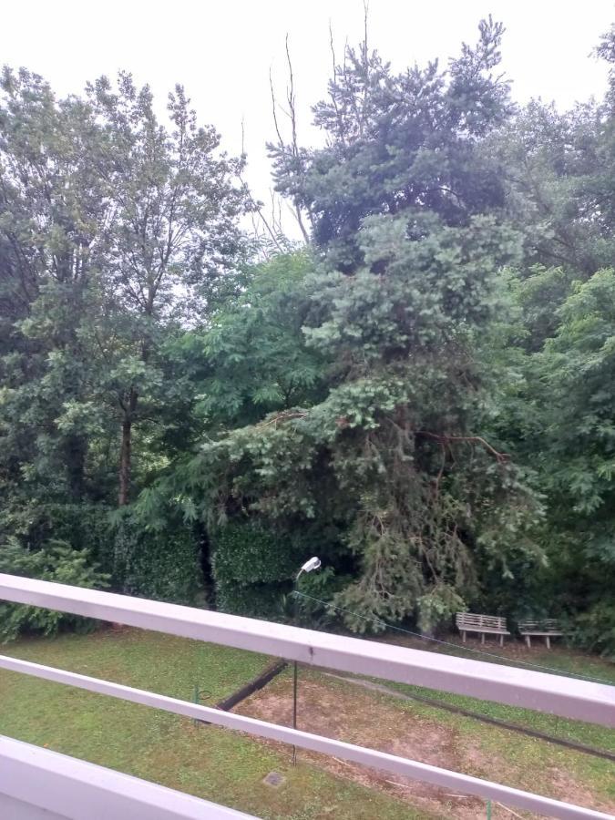 Lake Maggiore 2 Minutes Apartment Dormelletto Dış mekan fotoğraf