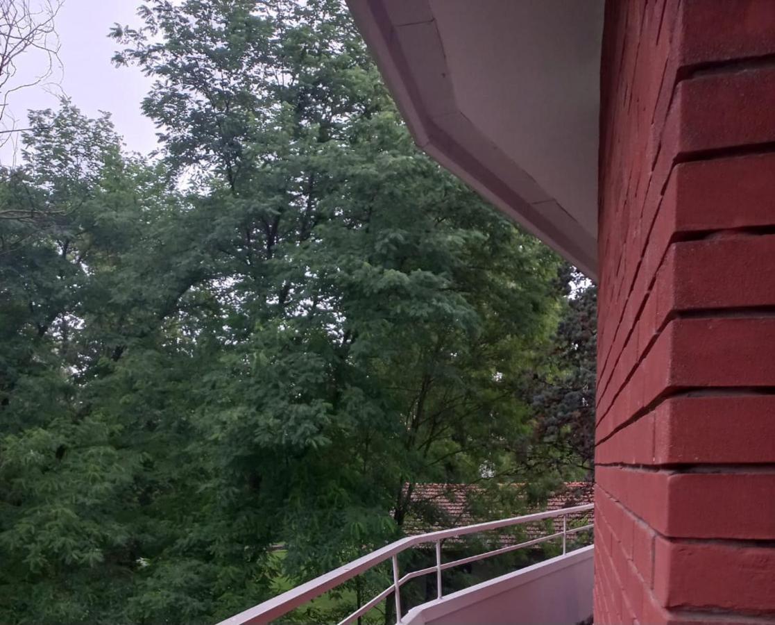 Lake Maggiore 2 Minutes Apartment Dormelletto Dış mekan fotoğraf